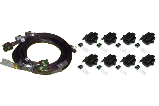 IGN1A Coil Harness w/ 8 Coils